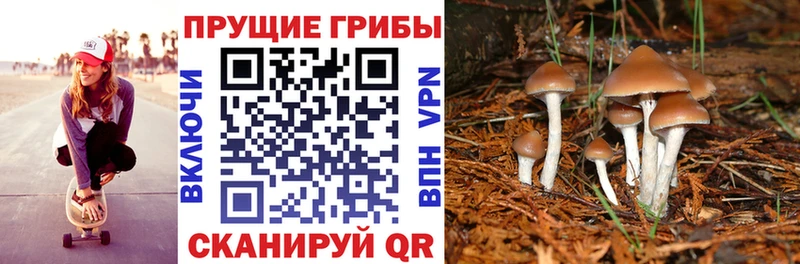 наркота  Арск  Галлюциногенные грибы мухоморы 